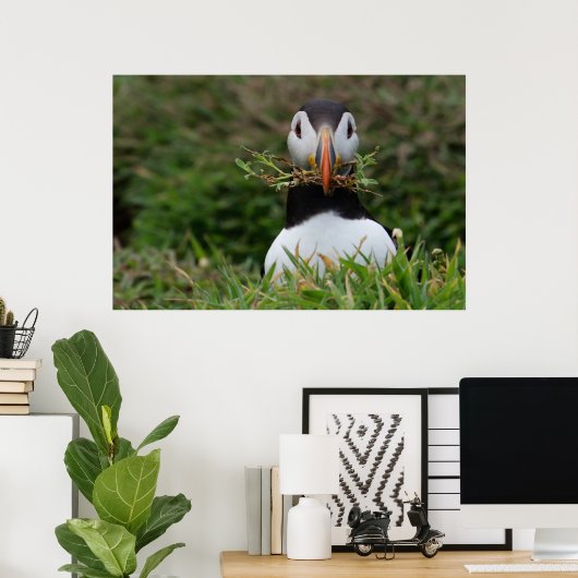 Poster Nest Builder Puffin (Bureau à domicile)