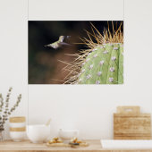 Poster Nest Maker (Cuisine)