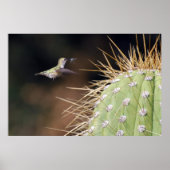 Poster Nest Maker (Devant)