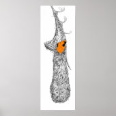 Poster Nest Oriole (Devant)