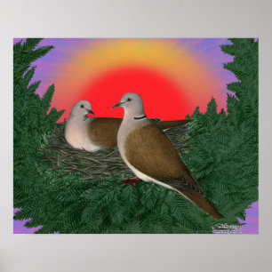 Poster Nesting Doves