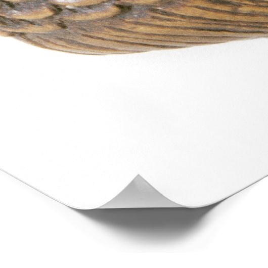 Poster Netsuke taillé en forme de sirène (Coin)