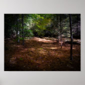 Poster Nettoyage dans une forêt noire (Devant)