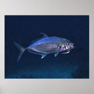 Poster Nettoyage Jack