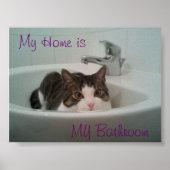 Poster Nettoyer le chat (Devant)