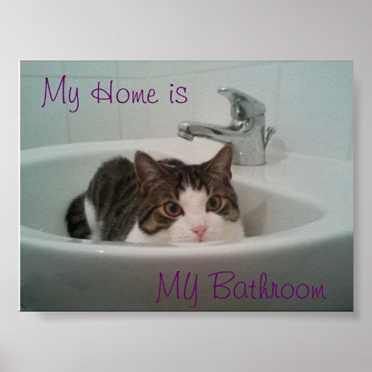 Poster Nettoyer le chat (Devant)