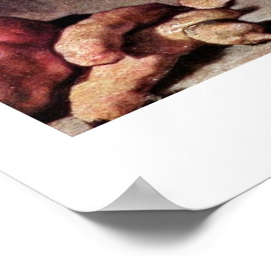 Poster Nettoyeur De Turnip Par Jean-Baptiste Chardin (Coin)