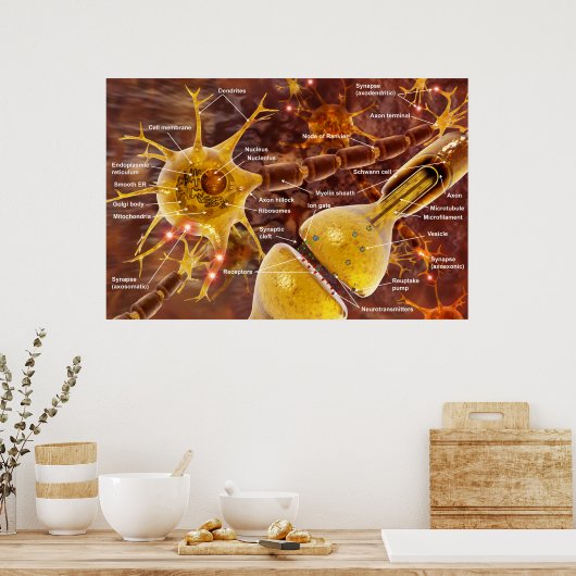 Poster Neuron (Cuisine)