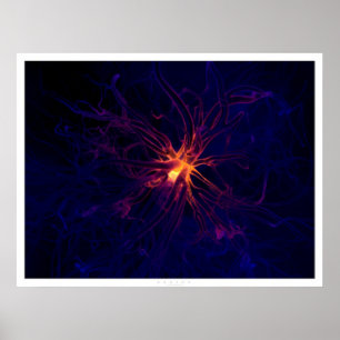 Poster Neurone