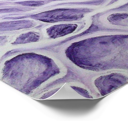 Poster neurone bipolaire (Coin)