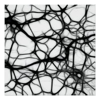 Neurones