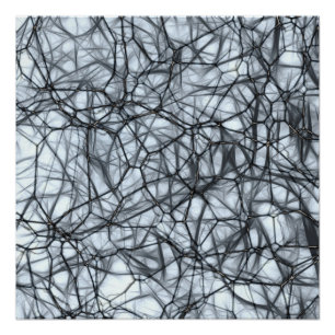 Poster Neurones