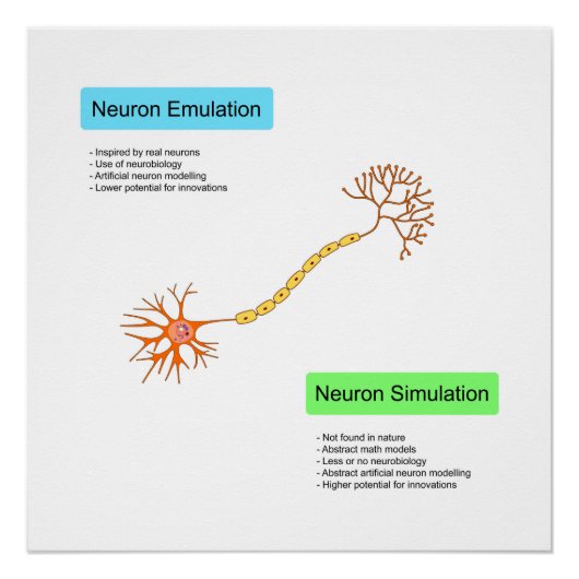 Poster Neurones (Devant)
