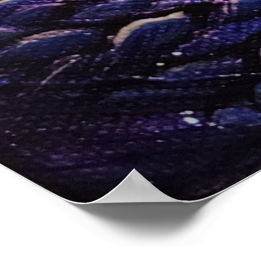 Poster neurones connectés (Coin)