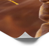 Poster neurones moteurs de vertébrés myélinés typiques (Coin)