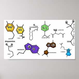 Poster Neurotransmetteur