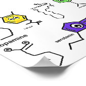 Poster Neurotransmetteur (Coin)