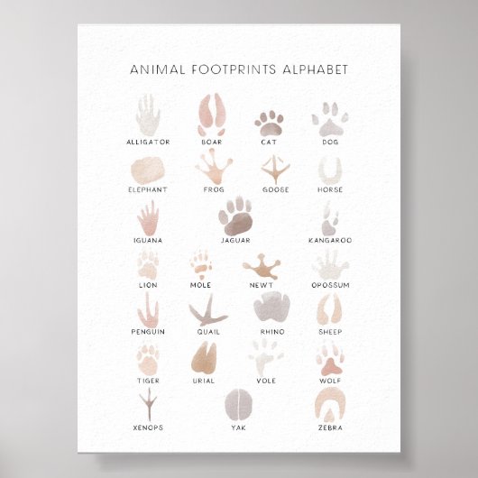 Poster neutre d'impression des pieds d'animal (Devant)