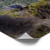 Poster Nevada and Vernal Falls (Poster) (Coin)