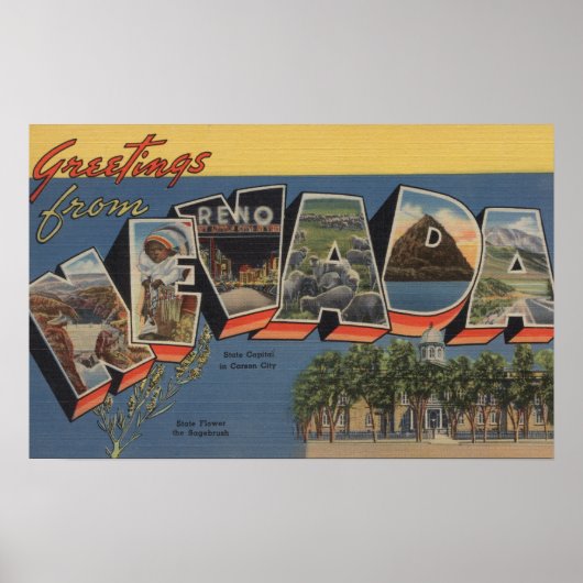 Poster Nevada (Capitale d'Etat/Fleur) (Devant)
