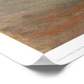 Poster Nevada Falls, Yosemite (1252) (Coin)