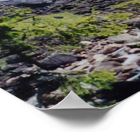 Poster Neveda Falls (Coin)