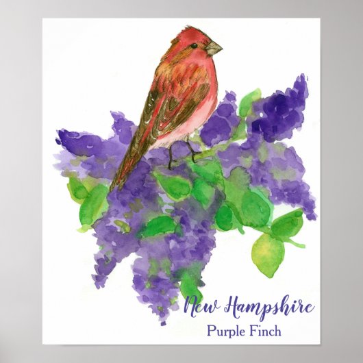 Poster New Hampshire Bird Purple Finch Lilacs (Devant)