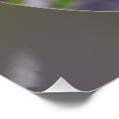 Poster new leaves (Coin)