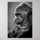 Poster New Mother Gorilla (Devant)