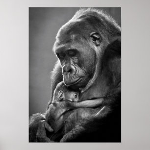 Poster New Mother Gorilla