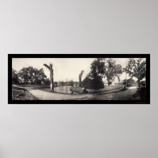 Poster New Orleans City Park Photo 1909 (Devant)