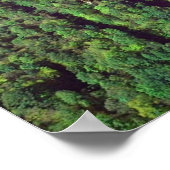 Poster New River Gorge Bridge - Virginie-Occidentale (Coin)