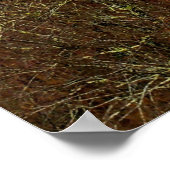 Poster New River Gorge, Virginie occidentale (Coin)