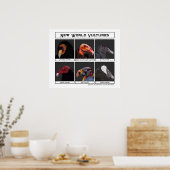 Poster New World Vultures Illustration (Cuisine)
