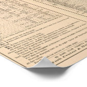 Poster New York Central and Hudson River Railroad 2 (Coin)