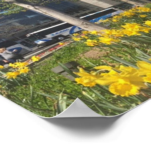 Poster New York City Daffodiques Columbus Circle NYC Spri (Coin)