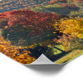 Poster New York Country Road à l'automne (Coin)