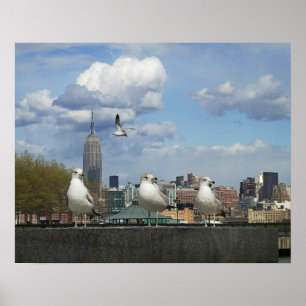 Poster New York Skyline avec mouettes