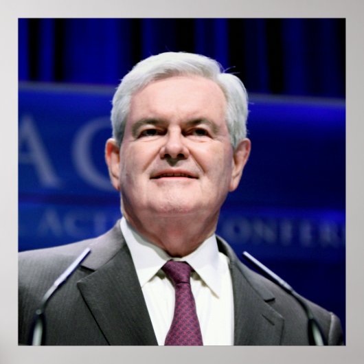 Poster Newt Gingrich (Devant)