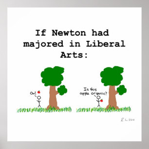 Poster Newton