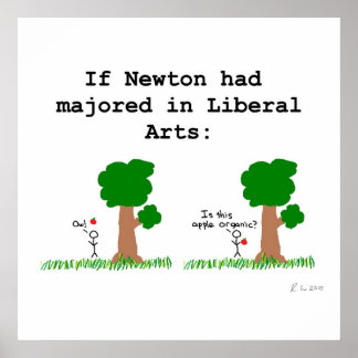 Poster Newton