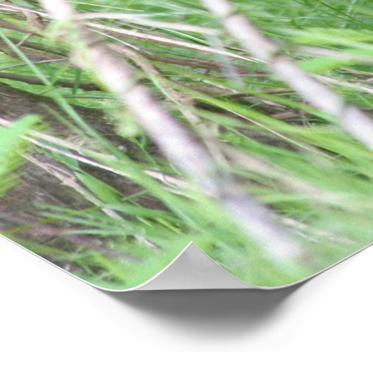 Poster Nez sale (Coin)