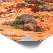 Poster NG Crow (Coin)