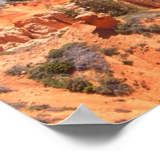 Poster NG Crow (Coin)