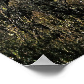 Poster Ngauruhoe (Coin)