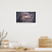 Poster NGC 2525 (Hubble Space Telescope) (Cuisine)