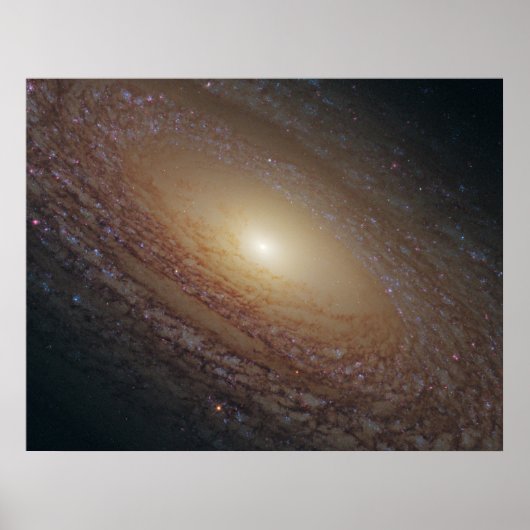 Poster NGC 2841 Galaxie spirale (Devant)