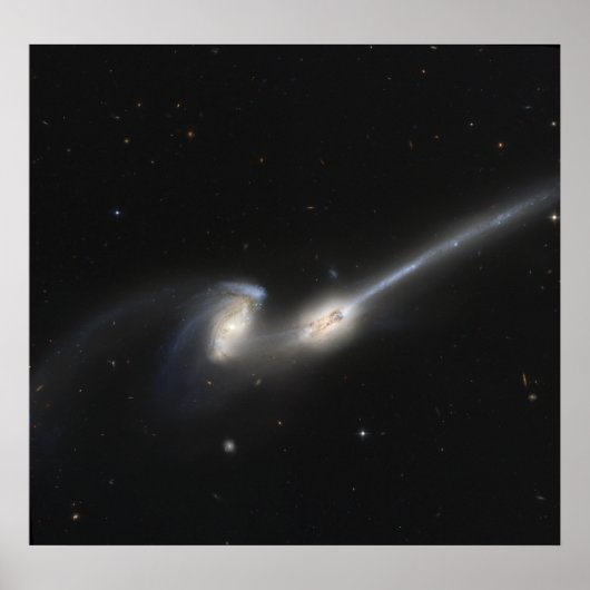 Poster NGC 4676, également connu sous le nom de Mice Gala (Devant)