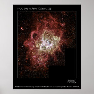 POSTER NGC 604