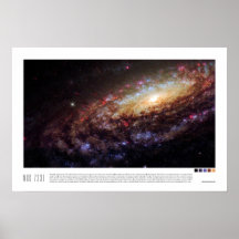 NGC 7331 (Caldwell 30)